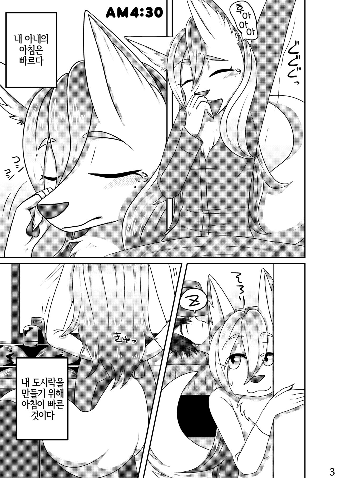 Ore no Yome-san. page 3 full