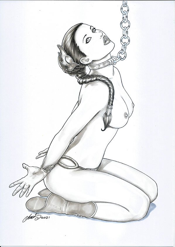 HM1art Slave Leia page 9 full