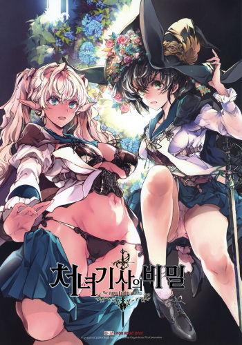 [70 Nenshiki Yuukyuu Kikan (Ohagi-san)] Otome Kishi no Himegoto [Korean] cover