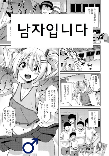 [Nokoppa] Doutei Cheerleading! | 남자임니다 (Gekkan Web Otoko no Ko-llection! S Vol. 68) [Korean] [Digital] cover
