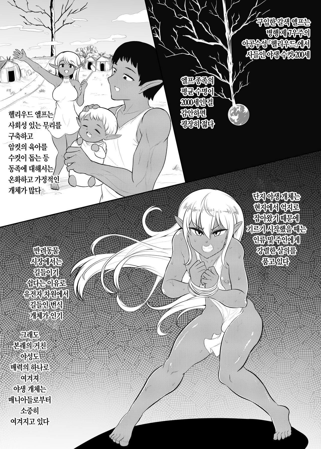 Kasshoku Elf-kun no Kaikata | 갈색 엘프♂ 군을 기르는 방법 page 6 full