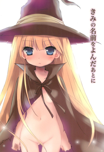 (C70) [Platina Blonde (Mizutama)] Kimi no Namae o Yonda ato ni (Mahou Sensei Negima!) cover