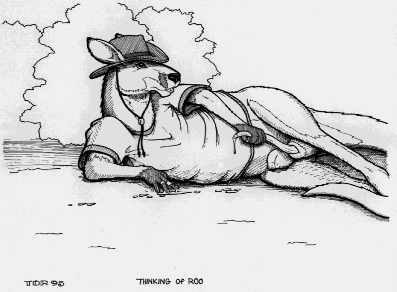 ARTIST tim o'rourke page 5 full