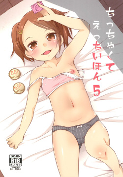 Chicchakute Ecchi Hon 5