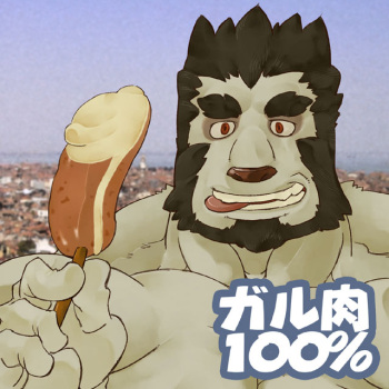 (Osuket F) [Kemonoya (Ushigami Mitsuki)] Gal Niku 100% (Final Fantasy XI) cover