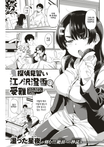 [Shimetta Seiya] Tantei Minarai Enosawa Sumika no Junan (COMIC Kairakuten BEAST 2018-09) [Korean] cover