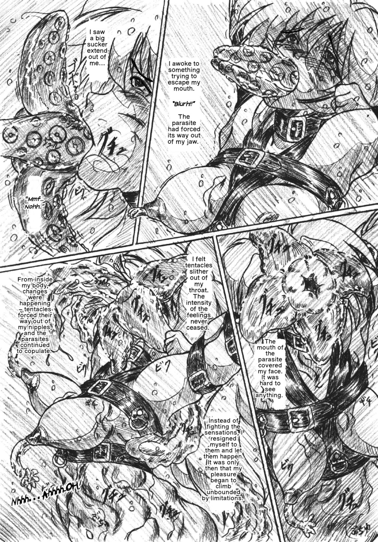 The Volunteer Parasite Nursery page 11 full