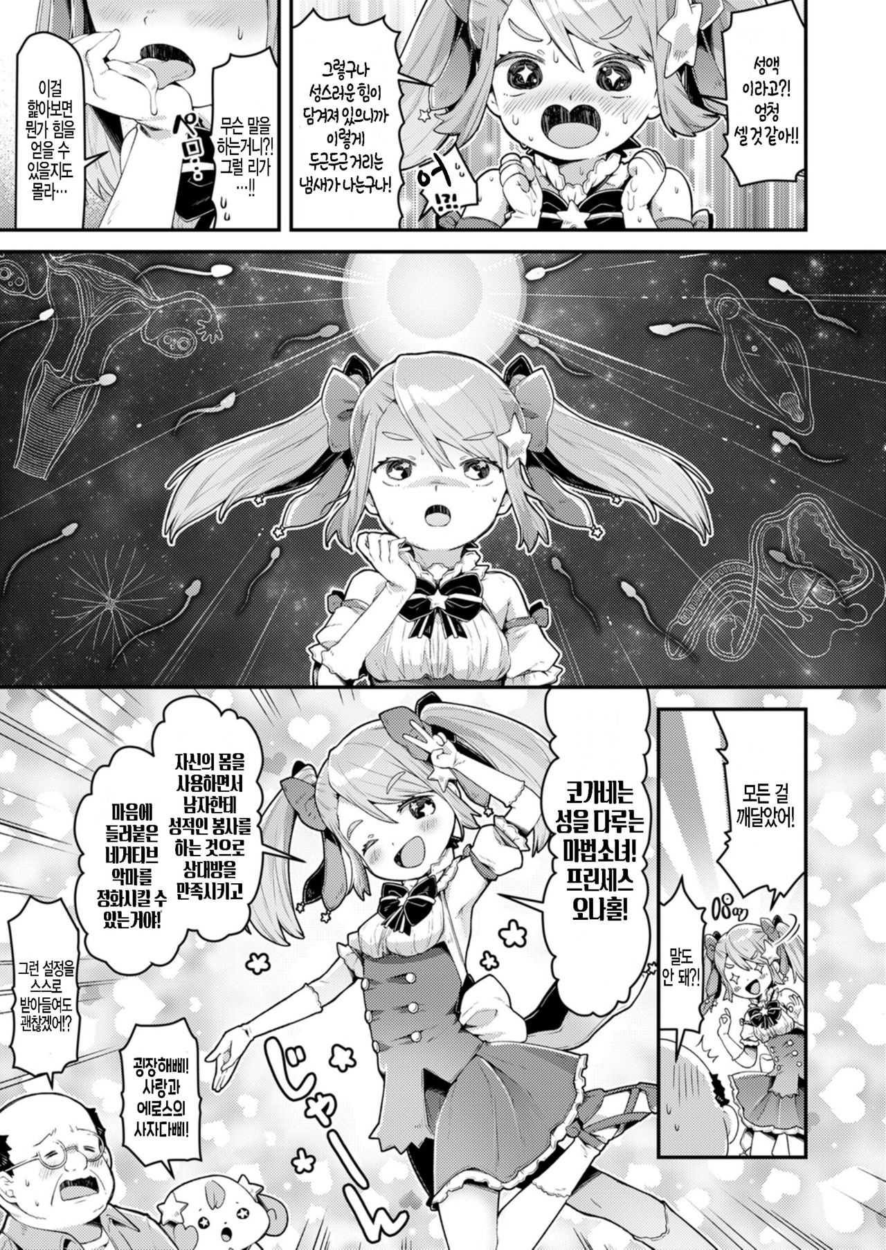 Mahou Shoujo Princess Meteor Kanashimi kara Sukue! Ai no Kiseki! page 11 full