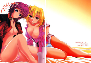 (C67) [Goromenz (Yasui Riosuke)] Suteruna! | Stelluna (Mobile Suit Gundam Seed Destiny) [English] {doujin-moe.us} cover