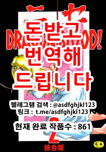 (C51) [LTM. (Taira Hajime)] Nise Dragon Blood! 2 [Korean] cover