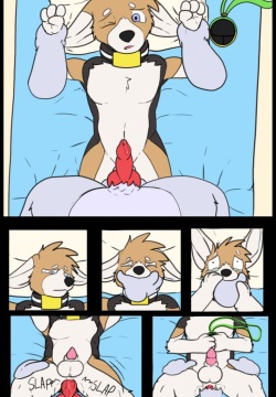 Housepets! One-pagers