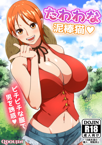 [Q Doujin] A Fluffy Thief Cat (One Piece) [Digital] cover