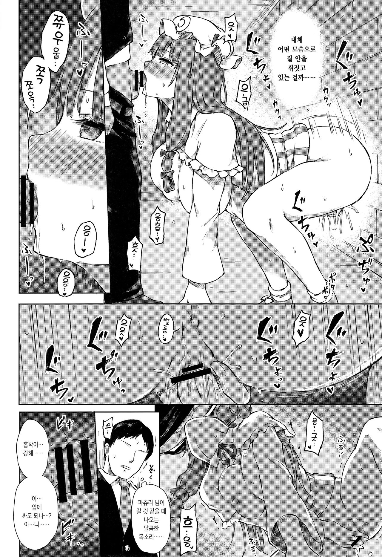 Patchouli Knowledge Kaihatsu Kiroku Ⅱ | 파츄리 널릿지의 쾌발기록 Ⅱ page 11 full