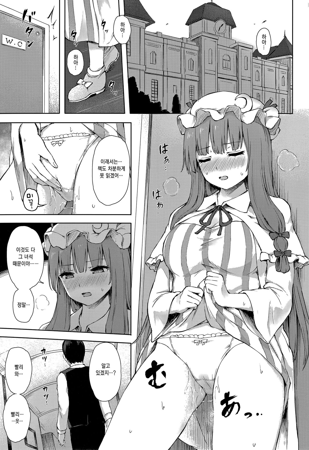 Patchouli Knowledge Kaihatsu Kiroku Ⅱ | 파츄리 널릿지의 쾌발기록 Ⅱ page 2 full
