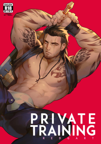 [Redgart] Private Training (Final Fantasy XV) cover