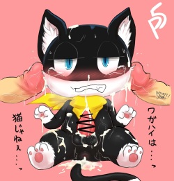 Category - cum everywhere