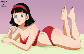 Videl cover