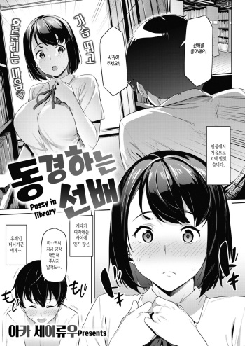 [Aka Seiryuu] Akogare no Senpai - Pussy in library | 동경하는 선배 (COMIC X-EROS #84) [Korean] [Digital] cover