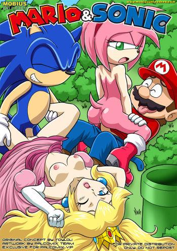 [Palcomix] Mario&Sonic cover