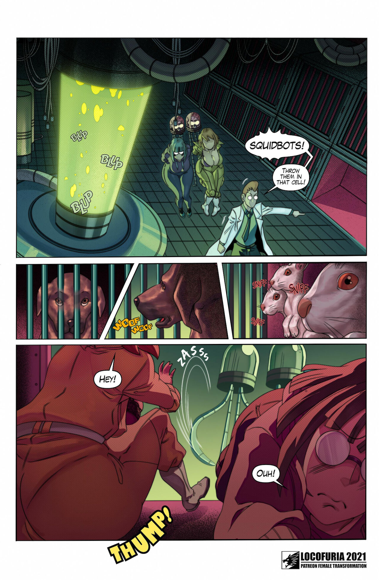 The Fifth Turtle page 11 full