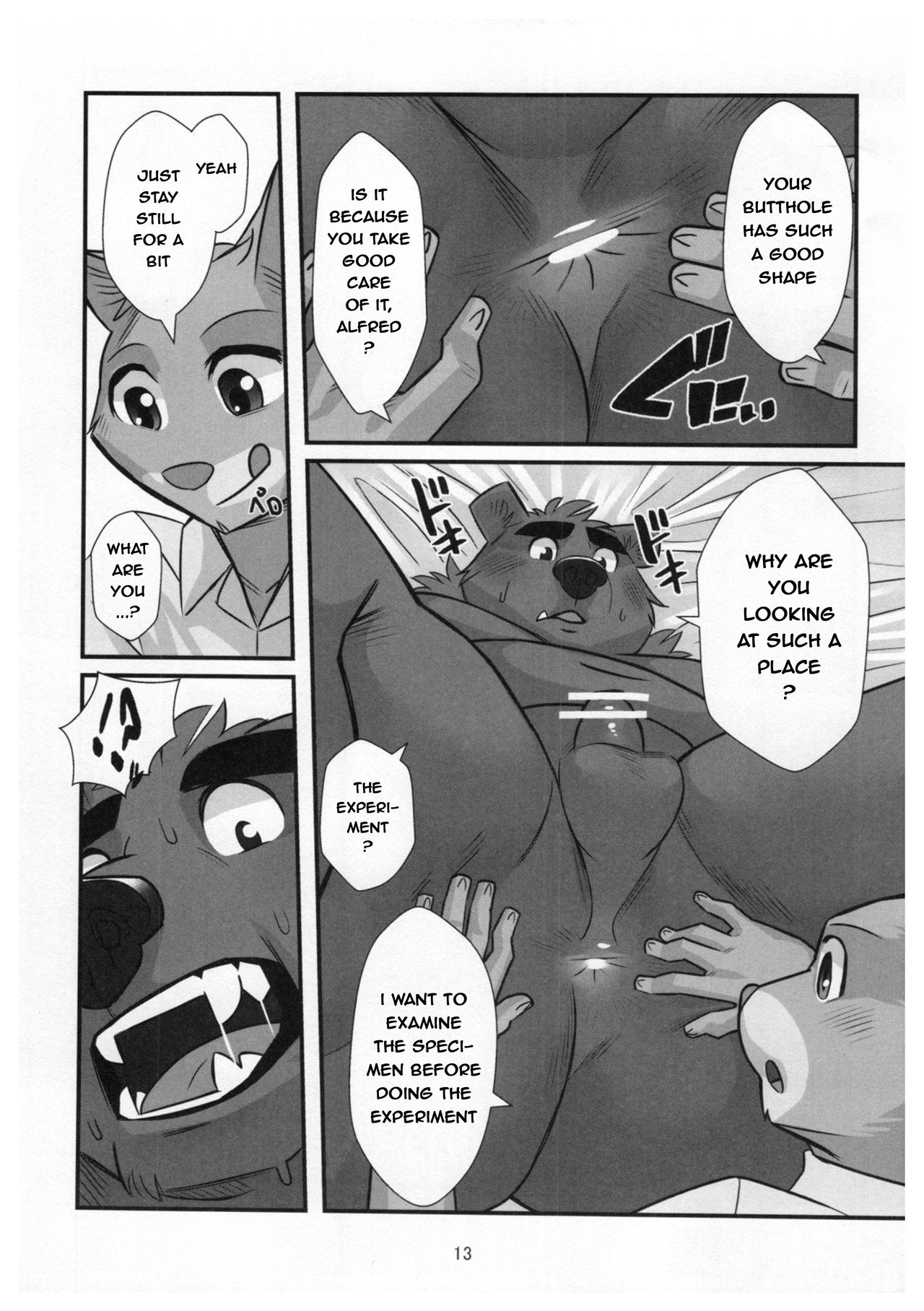 Kuma Shitsuji Alfred | Bear Butler Alfred page 12 full