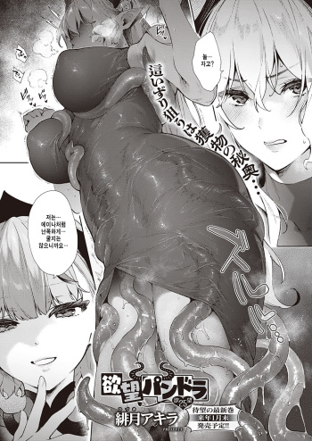 [Hizuki Akira] Yokubou Pandora 25 (COMIC ExE 34) [Korean] [Digital] cover