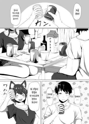[Kagarimachi Konatsu] オリジナル猫耳エロ漫画[Korean] cover
