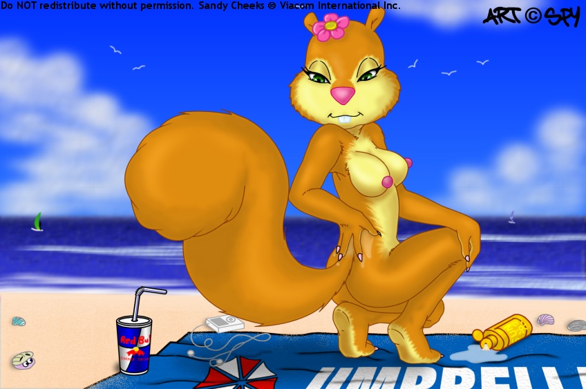 Character - Sandy Cheeks page 12 full