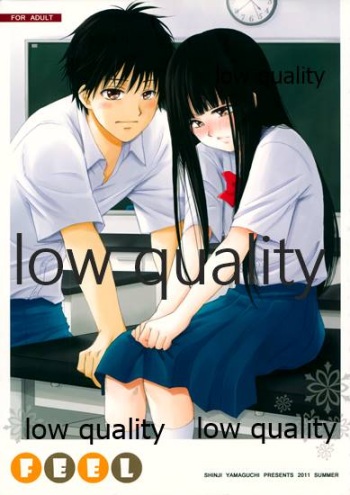 (C80) [Yamaguchirou (Yamaguchi Shinji)] FEEL (Kimi ni Todoke) cover