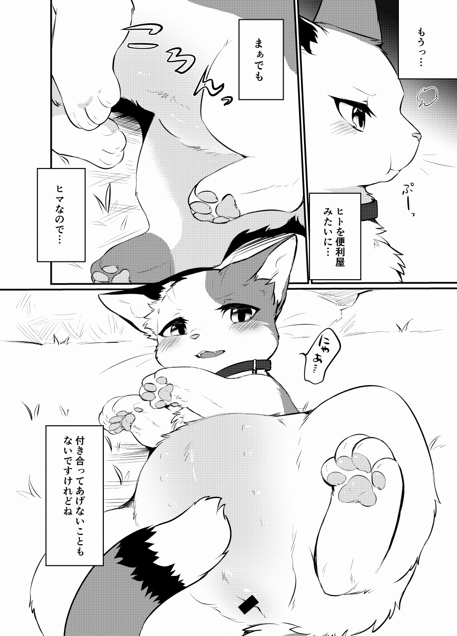 -  【けもケット10】すきものどうし【新刊サンプル】+ Sketches / Extras page 11 full