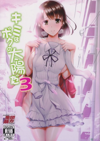 (C97) [Hooliganism (Murasaki Syu)] Kimi wa Boku no Taiyou da 3 (Saenai Heroine no Sodatekata) [English] [DKKMD Translations] cover