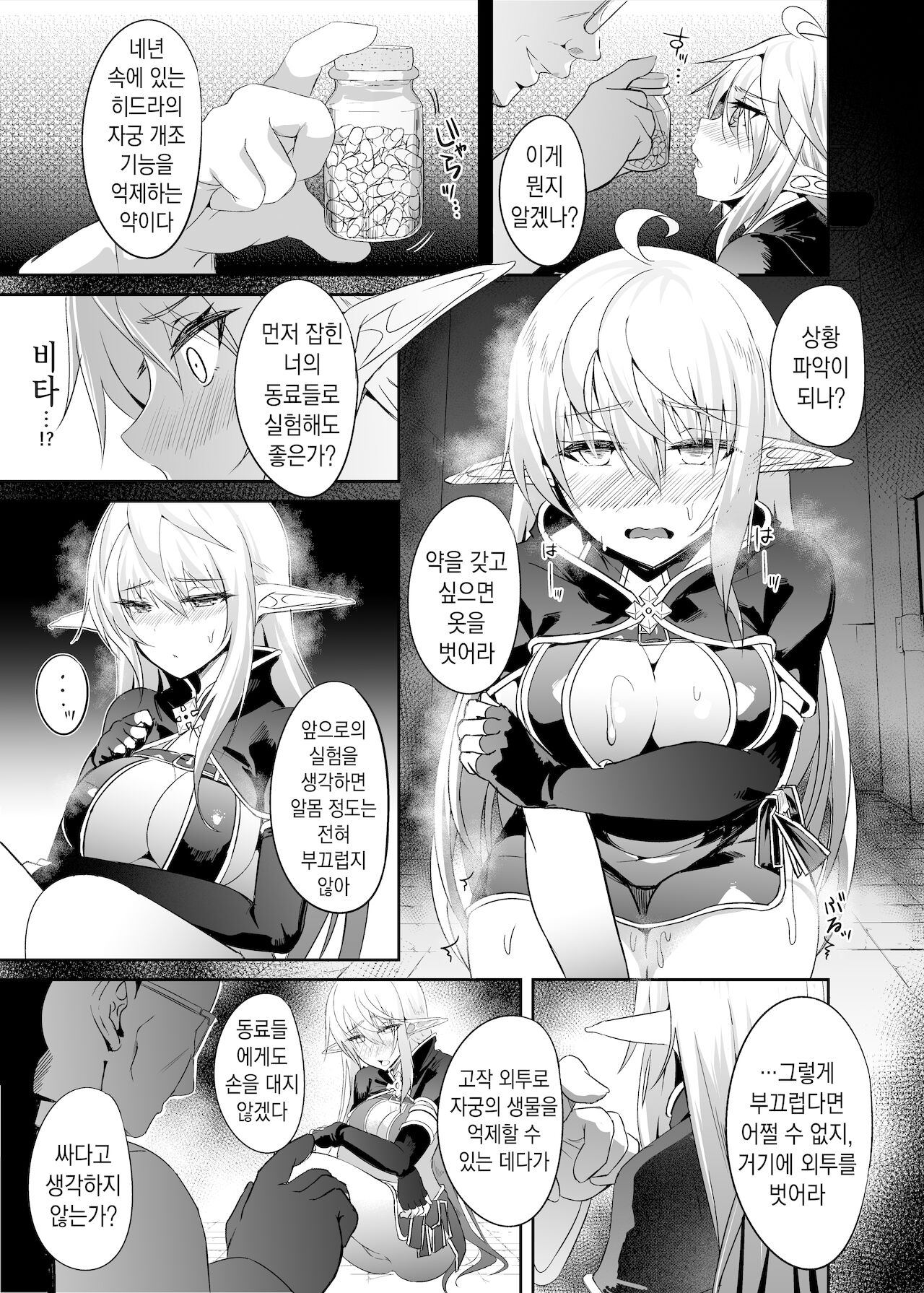 Toubou ELF 5 | 도망엘프5 page 12 full
