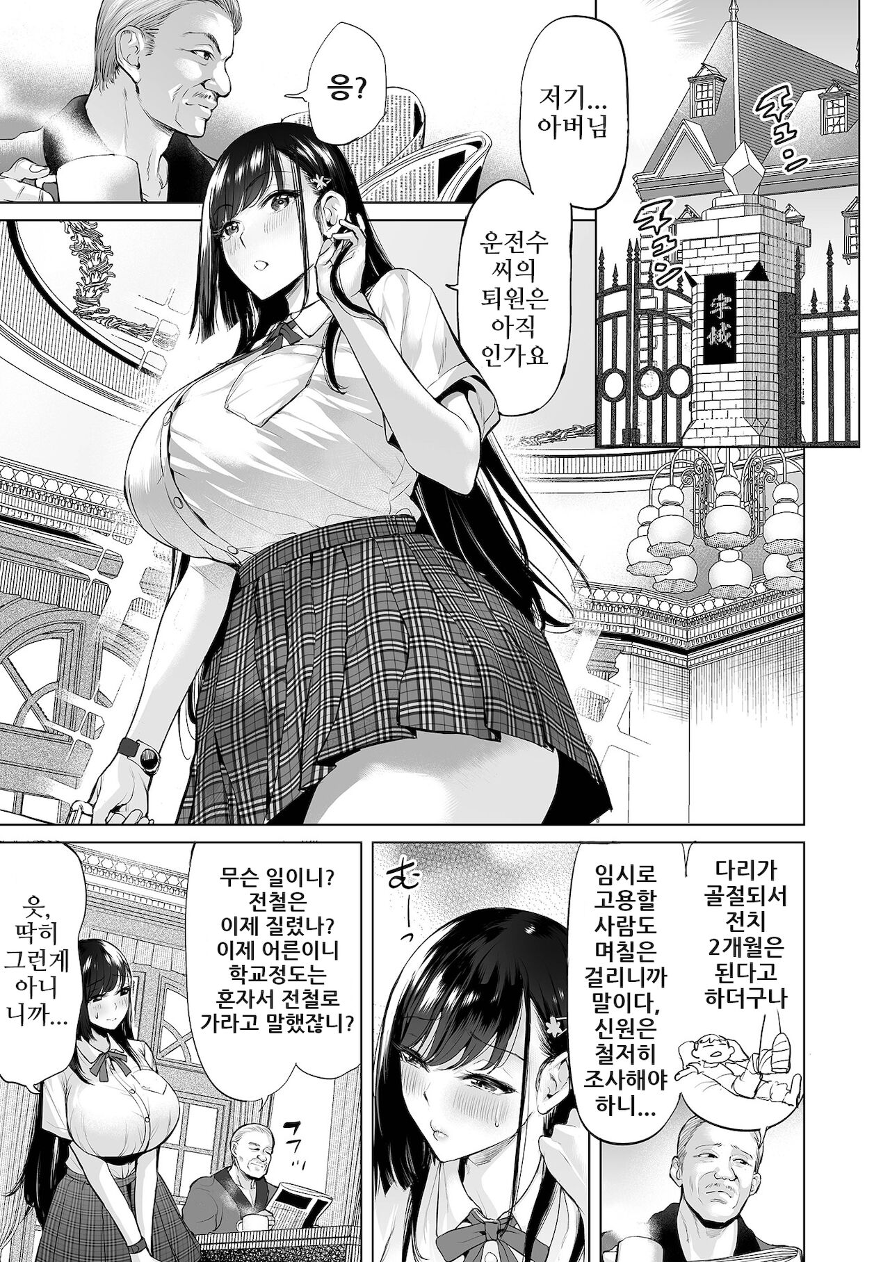 Ojou-sama Chikan Train | 아가씨 치한 트레인 page 5 full