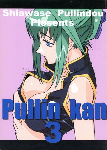 (C61) [Siawase-Pullin Dou (Arai Kei, EXP, Nin 6)] Pullin-kan 3 (Shaman King) cover