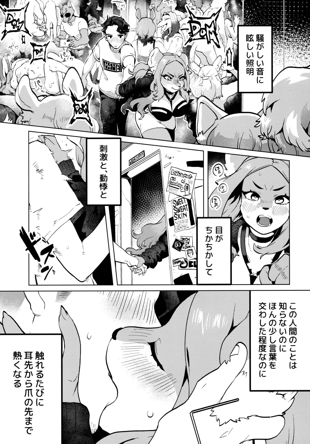ELECTRONICDANCEMUSIC page 11 full
