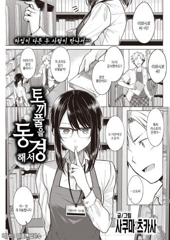 [Sakuma Tsukasa] Shirotsumekusa ni Akogarete | 토끼풀을 동경해서 (COMIC Kairakuten 2021-12) [Korean] [여름엔팝핀수] [Digital] cover