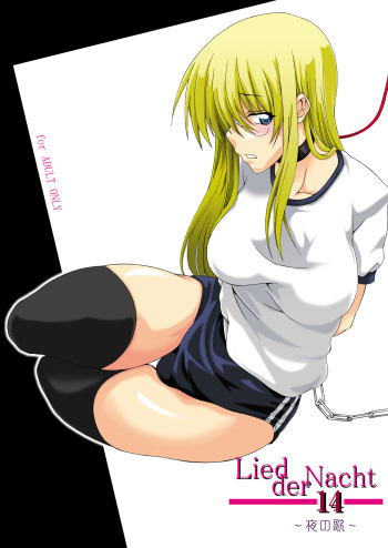 [F.A (Honoutsukai)] Lied der Nacht 14 ~Yoru no Uta~ [Digital] cover
