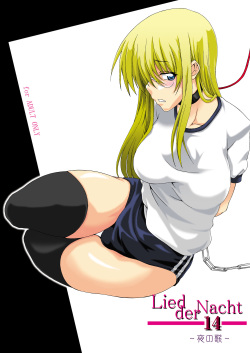 Lied der Nacht 14 ~Yoru no Uta~