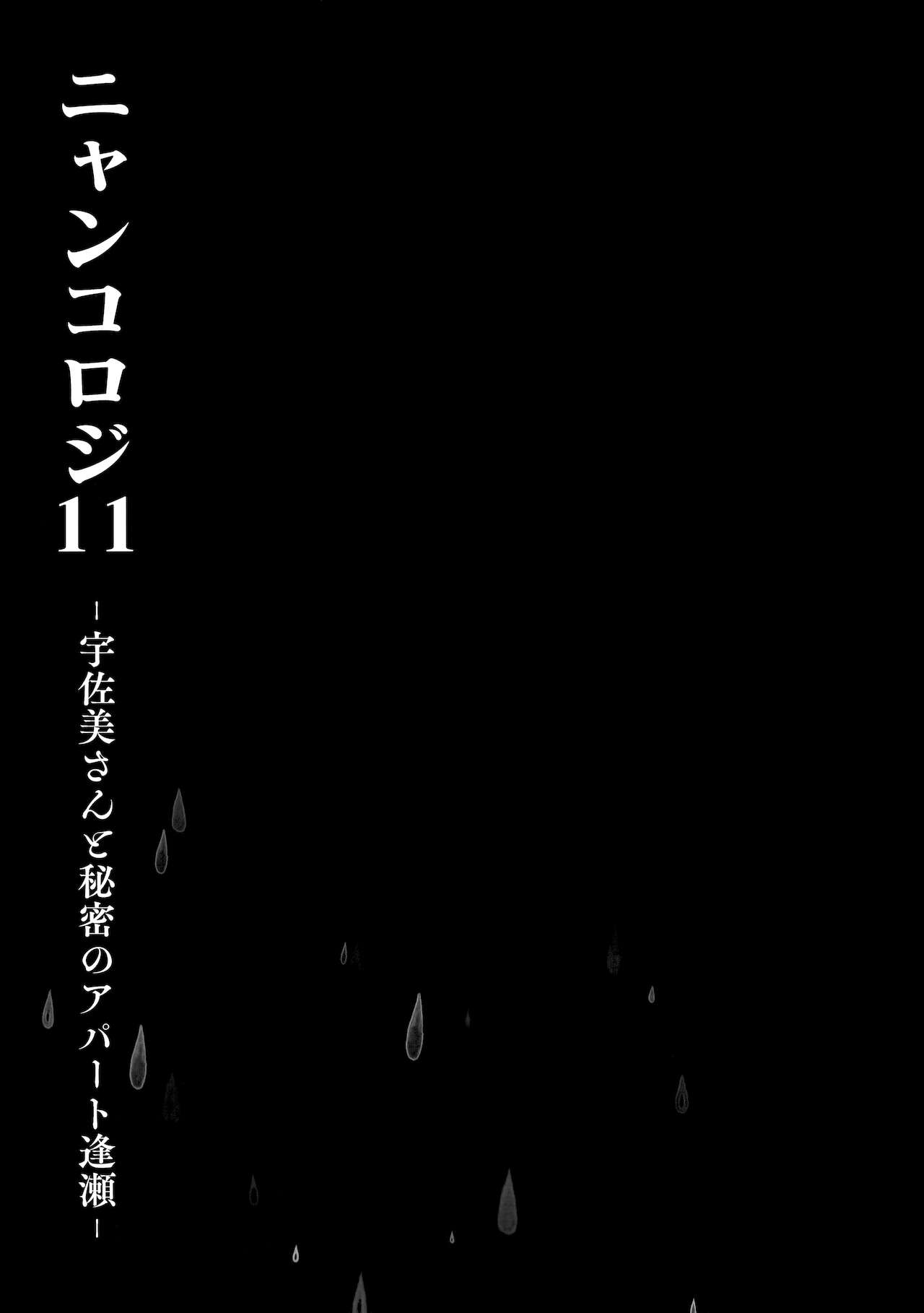 Nyancology11 -Usami-san to Himitsu no Apart Ouse- page 4 full
