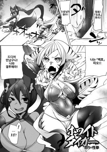 [Niwakaame] White Tiger Ikari no Seikyo (Futa Les Dis-communication) [Korean] [Digital] cover