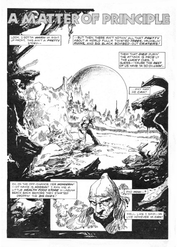 [Alfonso Azpiri] A Matter of Principle [English] cover