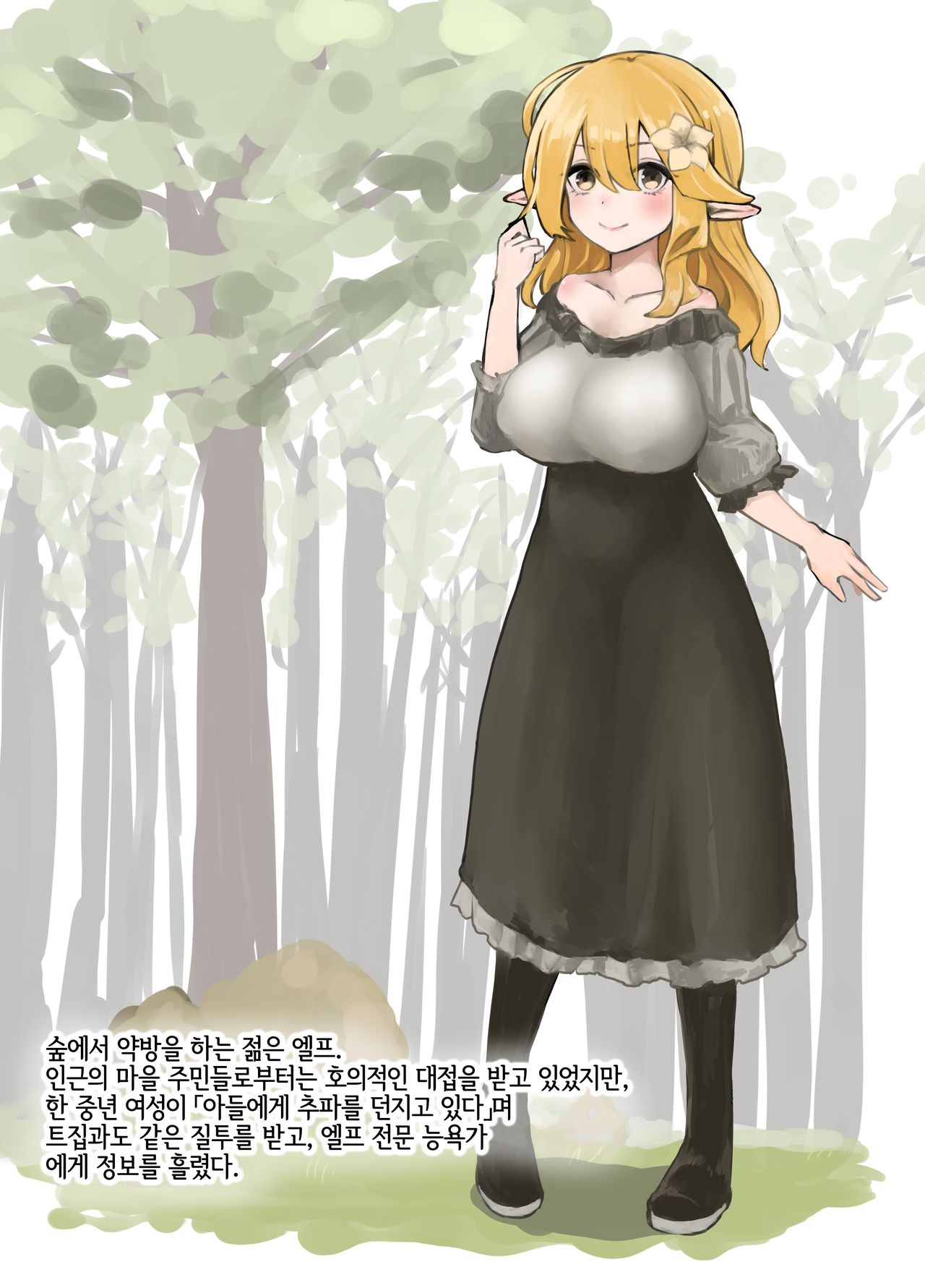 Elf o Okasu Hon 2 | 엘프를 따먹는 책 2 page 11 full