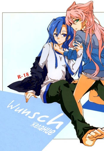 (C85) [HB (Futoo)] Wunsch | Желание (Senki Zesshou Symphogear) [Russian] [SpawnAlley] cover