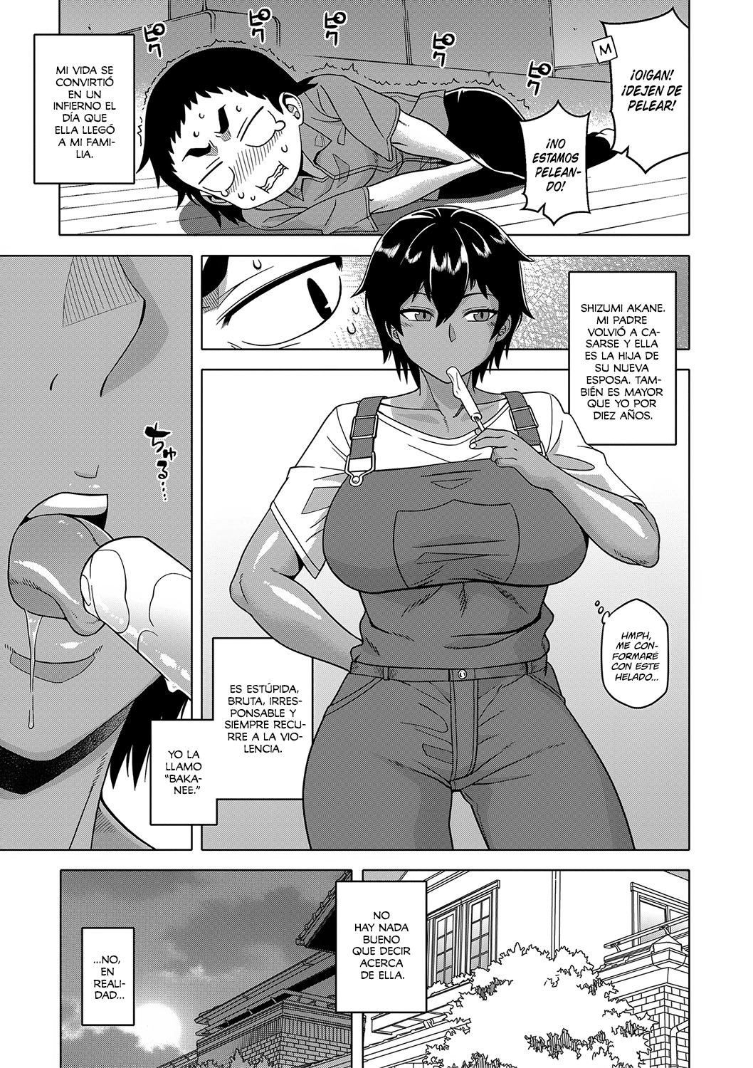 Chotto Bijin de Mune ga Dekakute Eroi dake no Baka-nee Ch. 1-3 page 3 full