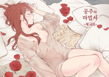 Princess and wizard / 공주와 마법사 4화 [Korean] cover