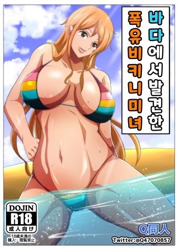 [Q Doujin] Umi de Mikaketa Bakunyuu Bijo | 해변에서 발견한 폭유 비키니 미녀 (One Piece) [Korean] cover