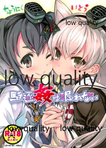 (C87) [3倍界王軒 (超肉、伊藤宗一)] 駆逐姦は眠れない (艦隊これくしょん -艦これ-) cover