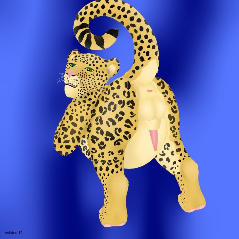 ARTIST Volatus page 12 full