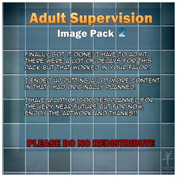 [Aaron] Adult Supervision 2 cover