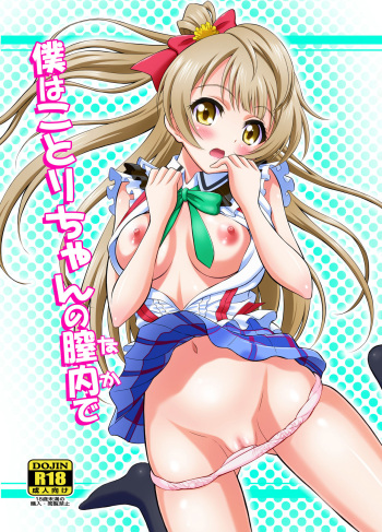 [GUST (Harukaze Soyogu)] Boku wa Kotori-chan no Naka de (Love Live!) [English] [Digital] cover